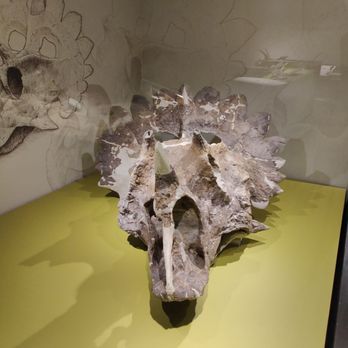 Royal Tyrrell Museum - Museums Near Me - Drumheller, Alberta Royal Tyrrell Museum - Museums Near Me - Drumheller, Alberta