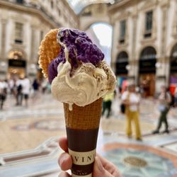 Savini - gelato