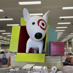 Target - Walking in.... Hello puppy!