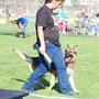 Blazing Trails K9 Academy