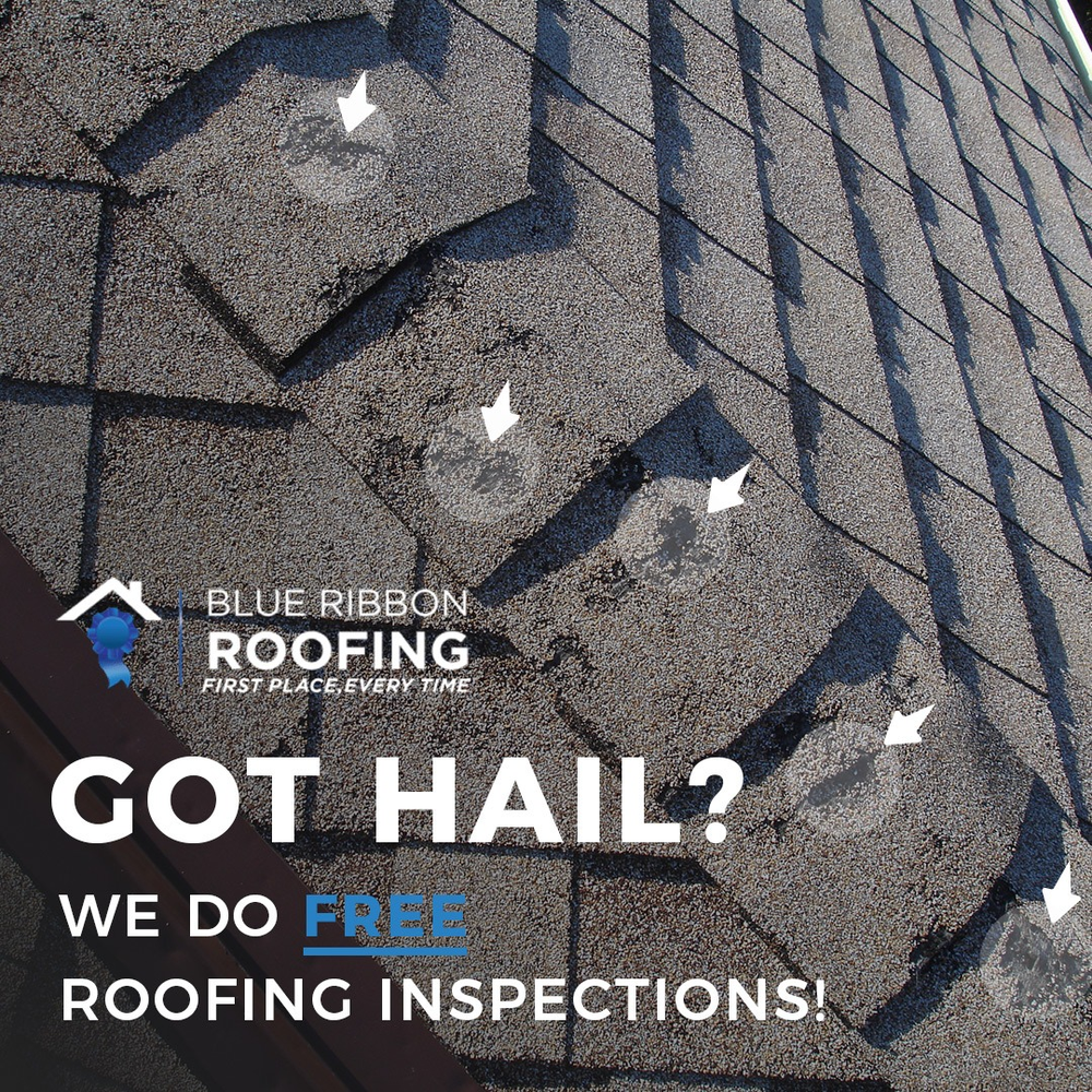 Slide of Blue Ribbon Roofing