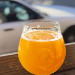Casual Animal Brewing Company - Pineapple sour beer