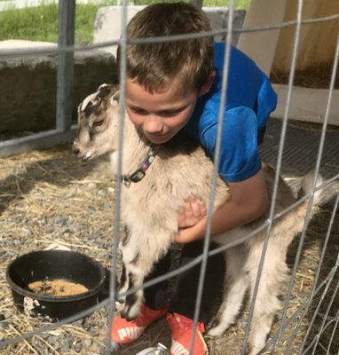 Freedom Hill Farm by null