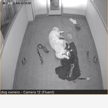 THE DOG HOUSE PET SALON - GALLERIA - Updated December 2025 ...