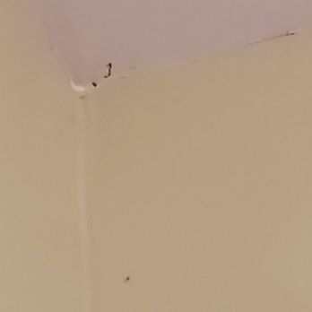 Siebert Realty - The cobwebs...omg all the cobwebs - Vacation Rentals Near Me - Virginia Beach, Virginia