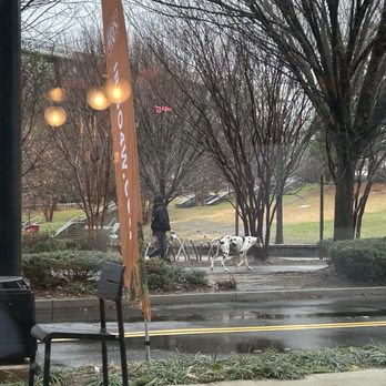 Finca To Filter - Coffee & Tea Near Me - Atlanta, Georgia
