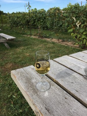 Black Prince Winery & Canadian Vinegar Cellars featuring Barrel House Wood-Fired Pizza + County Disc Golf by null