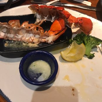 Red Lobster - Lobster - Seafood Near Me - Tigard, Oregon Red Lobster - Lobster - Seafood Near Me - Tigard, Oregon