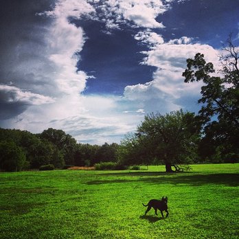 Nova Dog - Pet Training Near Me Nova Dog - Pet Training Near Me