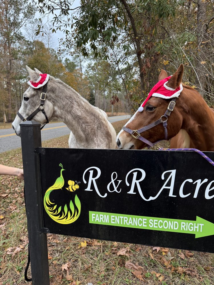 R & R Acres - beekeeping in Jamestown, SC