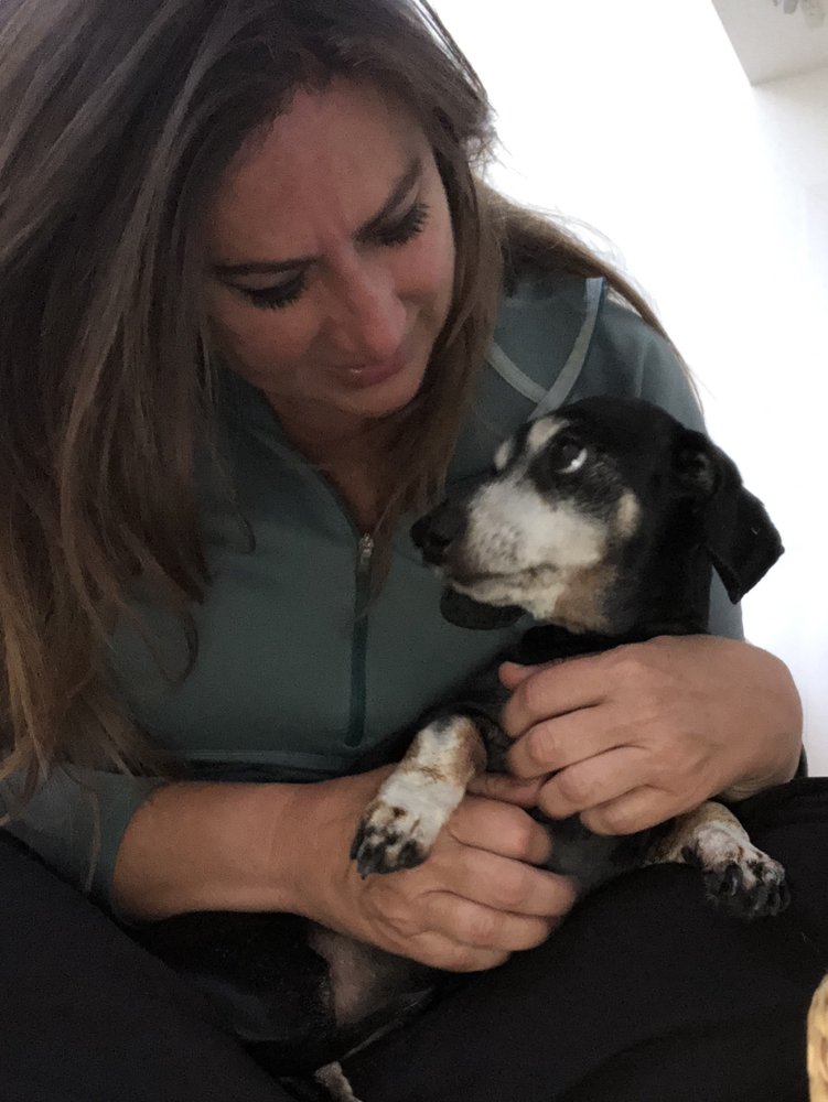 WOODLAND HILLS WAGGIE WALKERS 13 Photos Dog Walkers West Hills