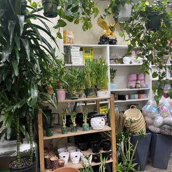 Creative Florist - Florists Near Me - Rego Park, New York