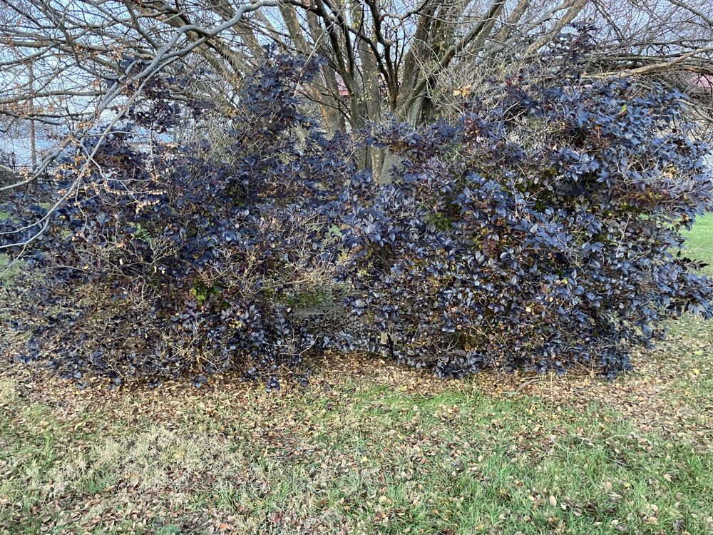 Hope Center - social services organization in Lexington, KY