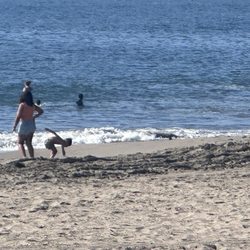 Collin’s Cove