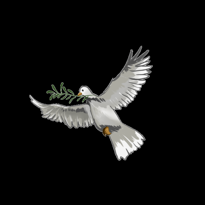 Freedom Grace Ministries - social services organization in Cave Springs, AR