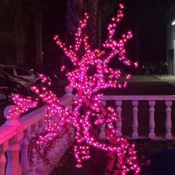 Le Siecle d'Or - Outdoor lights
