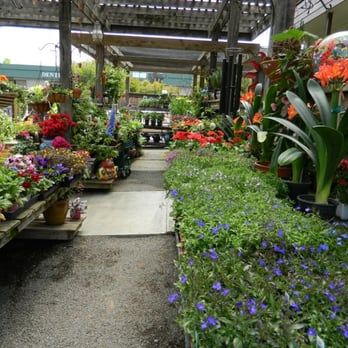 Sprig Garden - Nurseries & Gardening Near Me - Santa Rosa, California