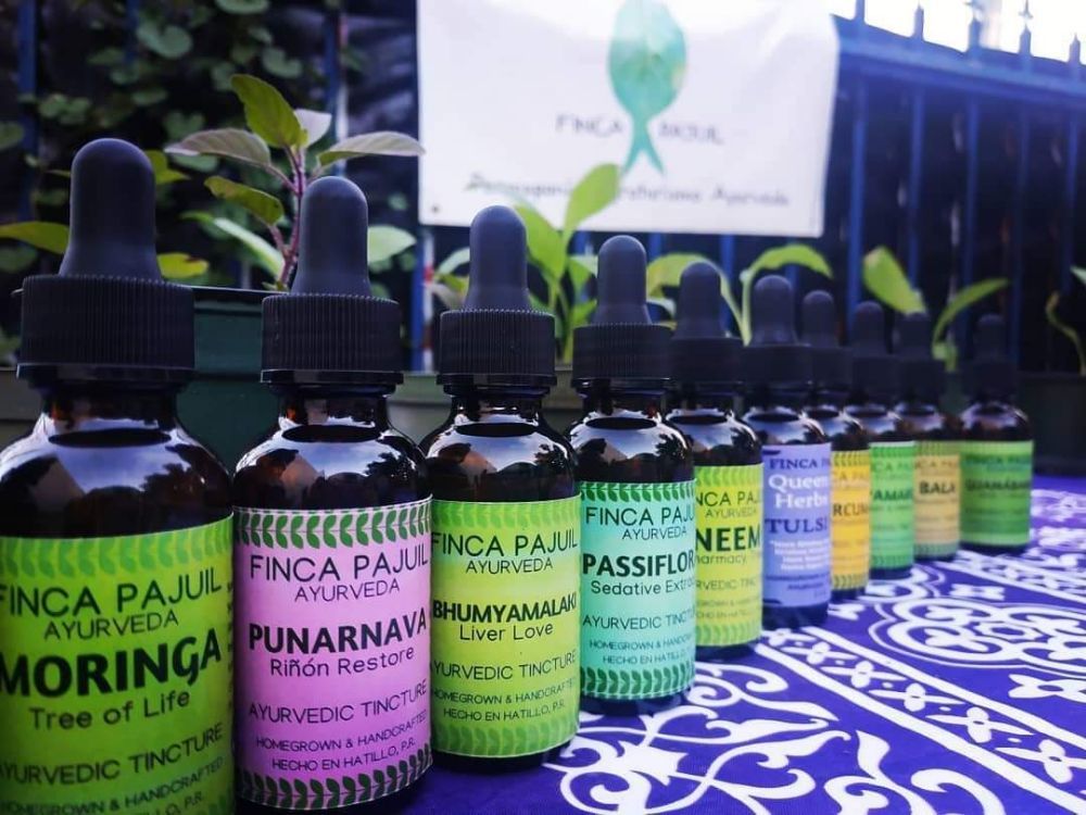 Finca Pajuil
