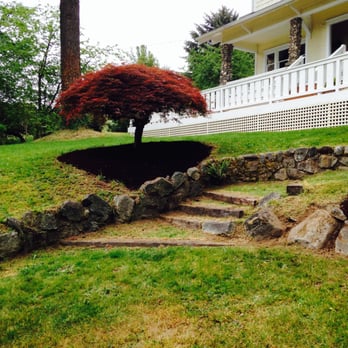 Paco's  Landscaping - Landscaping Near Me