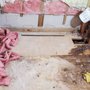 Photo of Volusia County Handyman Services