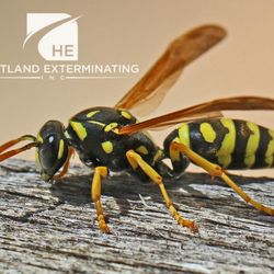 Heartland Exterminating