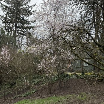 Johnson Creek Park - Parks Near Me - Portland, Oregon