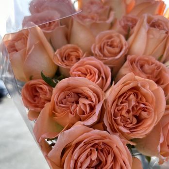 Costco Wholesale - Two dozen roses (under $20) in Costco - absolutely stunning - Wholesale Stores Near Me - Danvers, Massachusetts Costco Wholesale - Two dozen roses (under $20) in Costco - absolutely stunning - Wholesale Stores Near Me - Danvers, Massachusetts