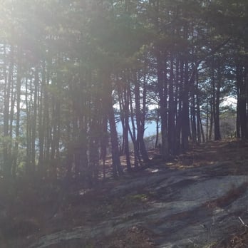 Bald Rock Heritage Preserve - Trees! - Hiking Near Me - Cleveland, South Carolina