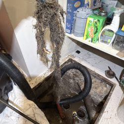 Ciro’s Sewer & Drain service - ROOTS REMOVED FROM SEWER LINE! Another sewer line cleared and flowing properly. Roots can cause serious blockages.