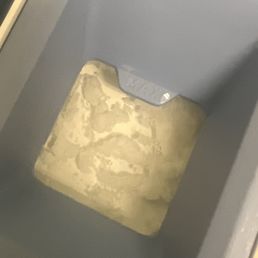 Clorox bleach.