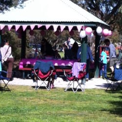 Wilfred Taylor Reserve - Birthday party in full swing.