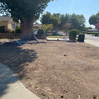Ramos Landscaping - Before picture. - Landscaping Near Me