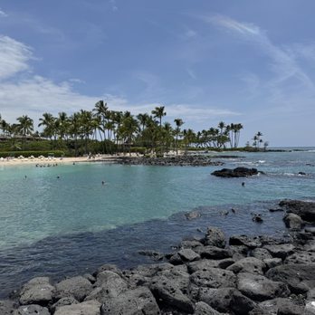 Aloha Aina Tours - Historical Tours Near Me - Pāhoa, Hawaii Aloha Aina Tours - Historical Tours Near Me - Pāhoa, Hawaii