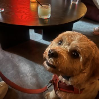 Moon Room - Wine Bars Near Me - Raleigh, North Carolina