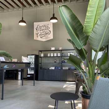The Boy & The Bear - Indoors - Coffee & Tea Near Me - Pasadena, California