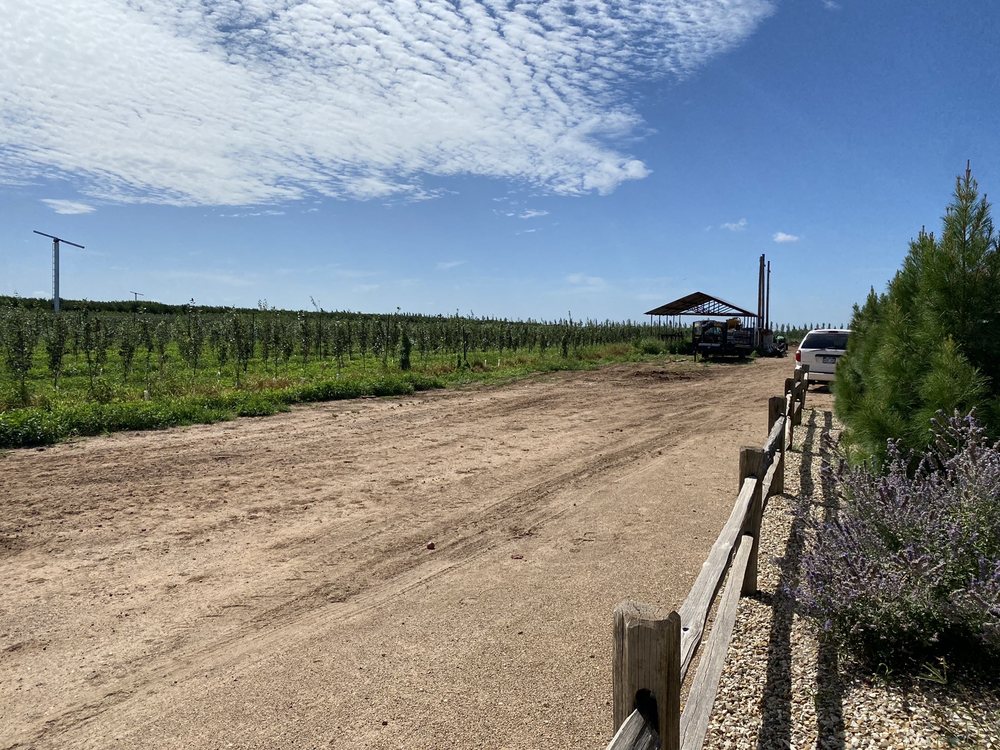 THE ORCHARD Updated August 2024 18 Photos 12206 E Hwy 62, Idalou