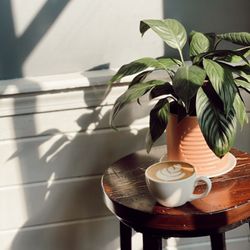 Salt & Light Cafe Bakery