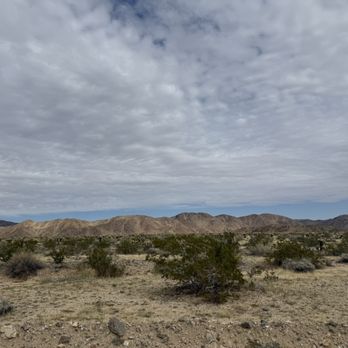 Joshua Tree National Park - Landscape - Parks Near Me - Joshua Tree, California Joshua Tree National Park - Landscape - Parks Near Me - Joshua Tree, California