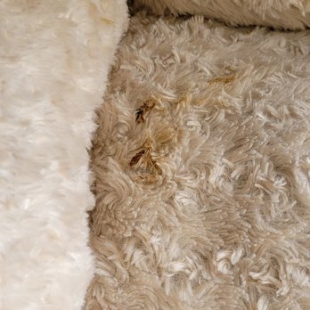 Perfectly Pawsh Pet Salon - Pet Groomers Near Me - Martinez, California Perfectly Pawsh Pet Salon - Pet Groomers Near Me - Martinez, California
