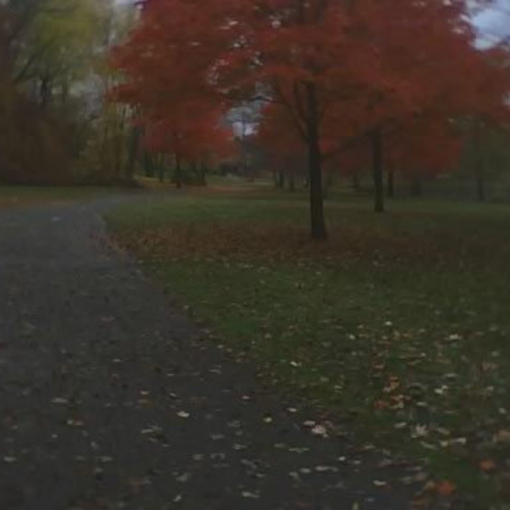 Larz Anderson Park - Parks Near Me - Brookline, Massachusetts Larz Anderson Park - Parks Near Me - Brookline, Massachusetts