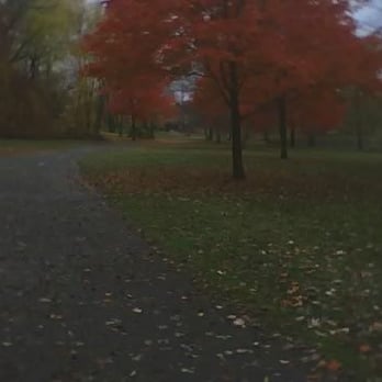 Larz Anderson Park - Parks Near Me - Brookline, Massachusetts Larz Anderson Park - Parks Near Me - Brookline, Massachusetts