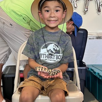 Kids Reptile Parties - My child had so much fun! - Party & Event Planning Near Me Kids Reptile Parties - My child had so much fun! - Party & Event Planning Near Me