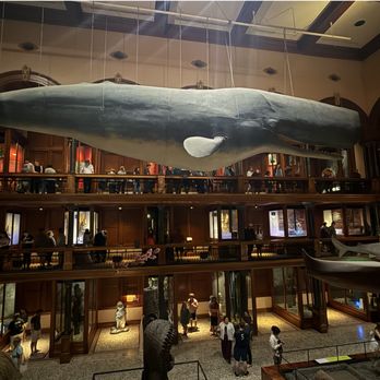 Bishop Museum - Museums Near Me - Honolulu, Hawaii Bishop Museum - Museums Near Me - Honolulu, Hawaii