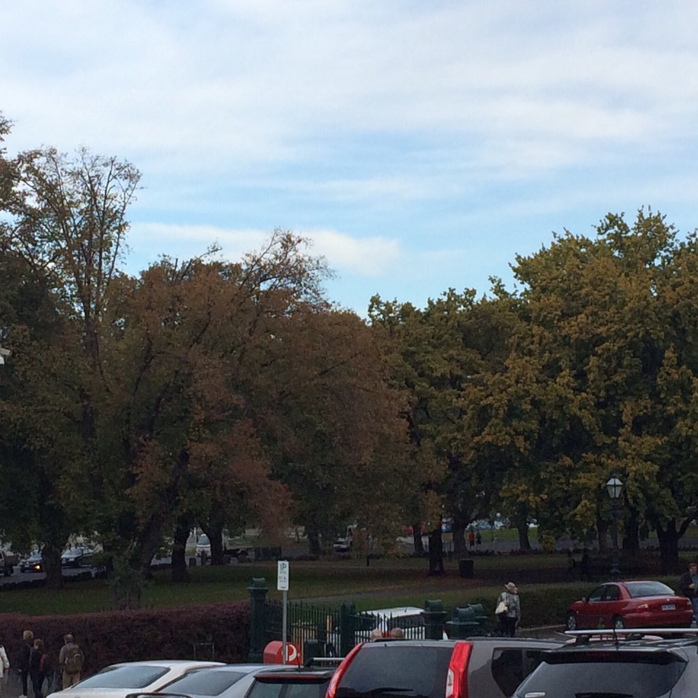 View from the street front seating overlooking a lovely  park.