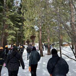 Tahoe Vista Treetop Adventure Park