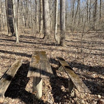 Charlestown State Park - An old picnic table. They have bigger newer ones around too ;) - Parks Near Me - Charlestown, Indiana Charlestown State Park - An old picnic table. They have bigger newer ones around too ;) - Parks Near Me - Charlestown, Indiana