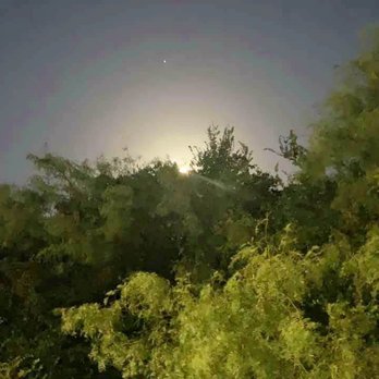 Cedar Hill State Park - Moon setting at Cedar Hill State Park - Parks Near Me - Cedar Hill, Texas