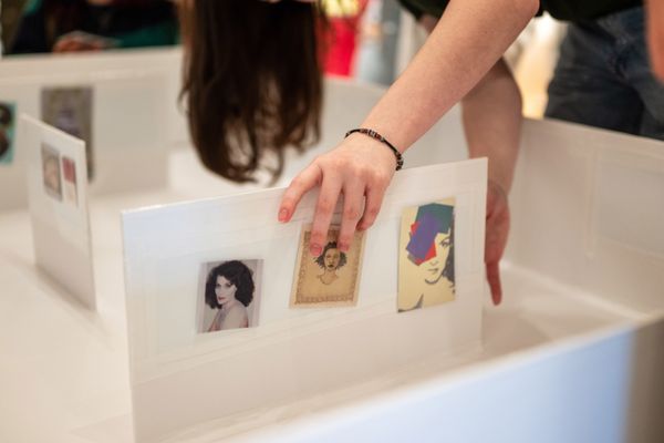 The Schnitzer Collection