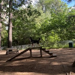 Westfield Dog Bark - Activities for pups
