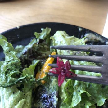 Destroyer - Edible flowers in the salad! So cute!! :) - New American Near Me - Culver City, California